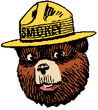 Only you cna prevent forest fires.