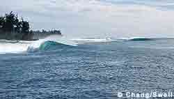 I didn't see any surfers.